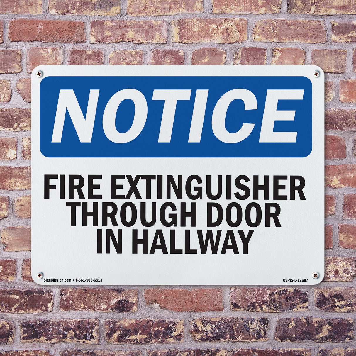 Fire Extinguisher Through Door In Hallway