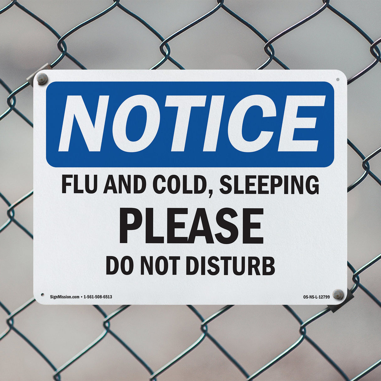 Flu And Cold, Sleeping Please Do Not Disturb Sign