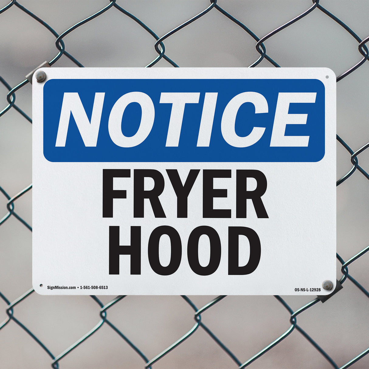 Fryer Hood