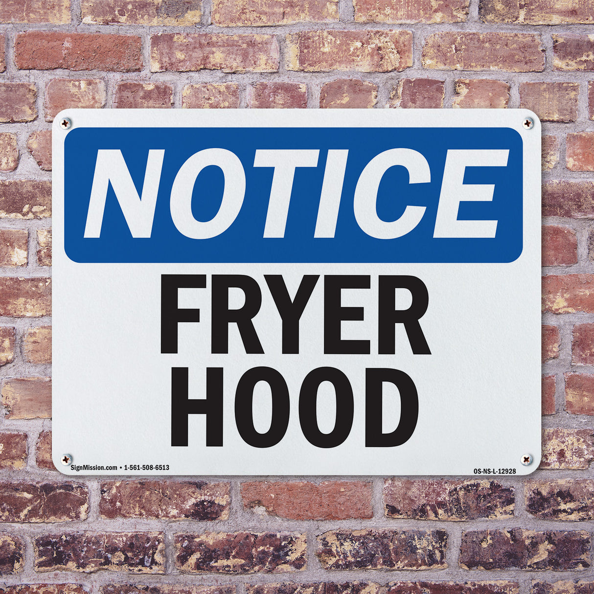 Fryer Hood