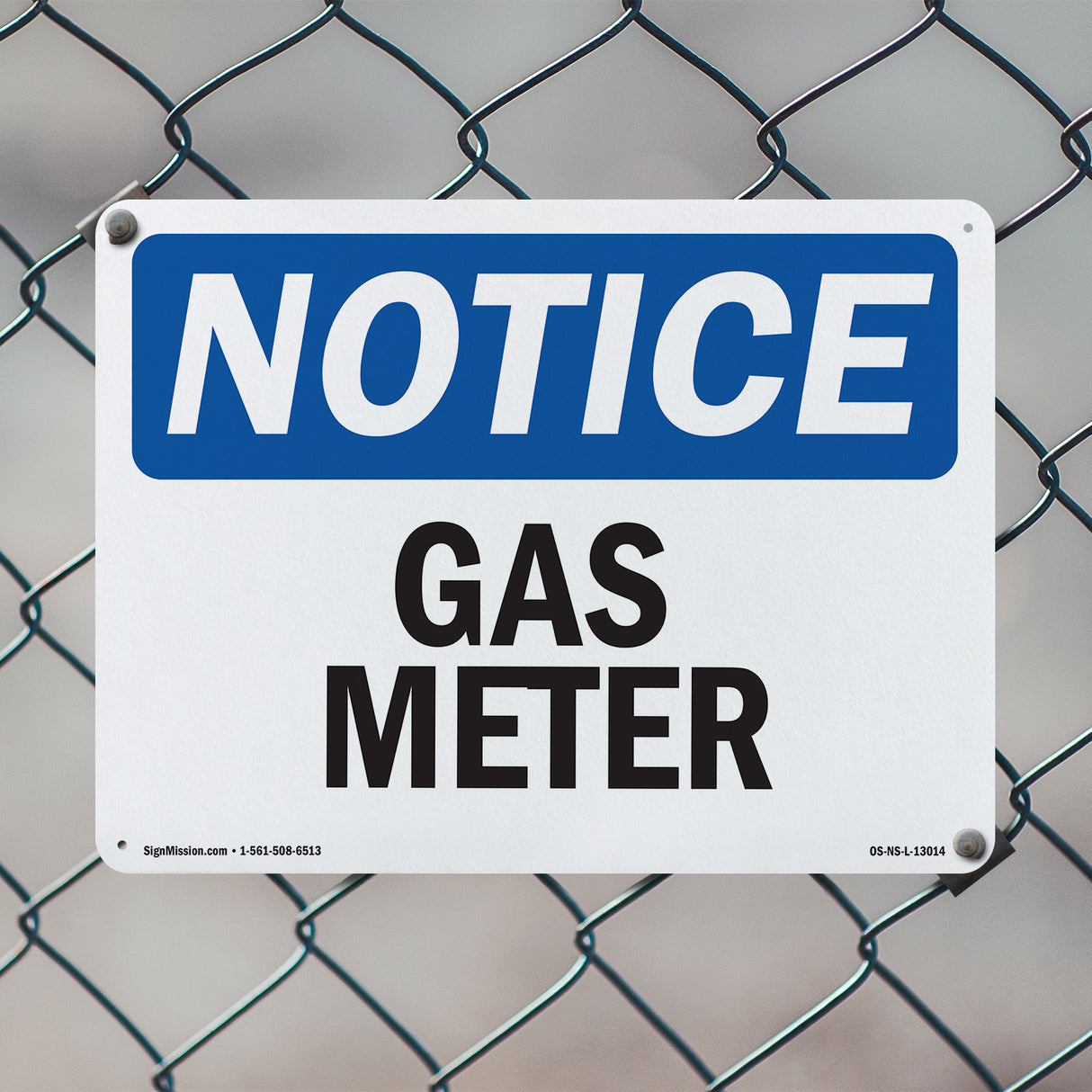 Gas Meter