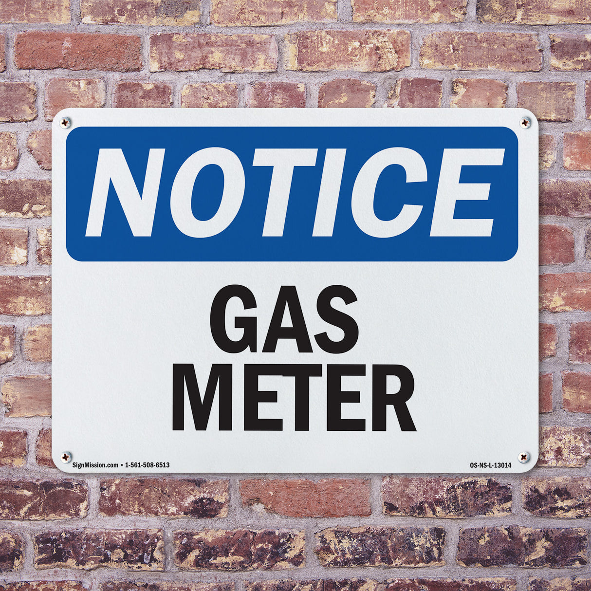Gas Meter