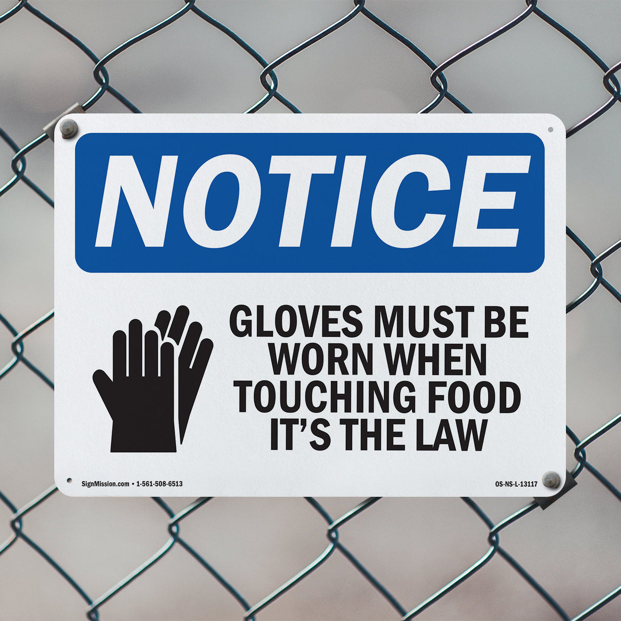 Gloves Must Be Worn When Touching