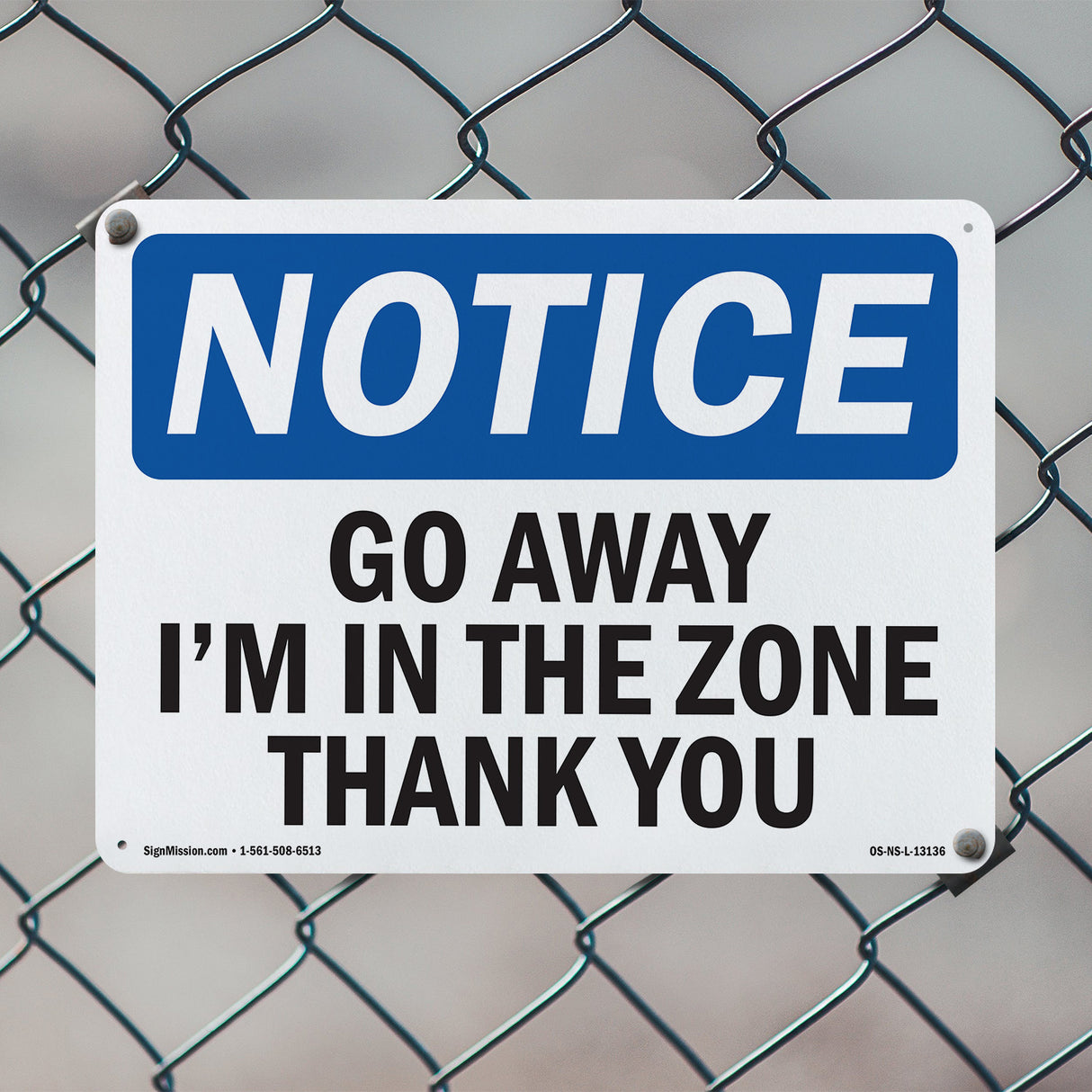 Go Away I'm In The Zone Thank You