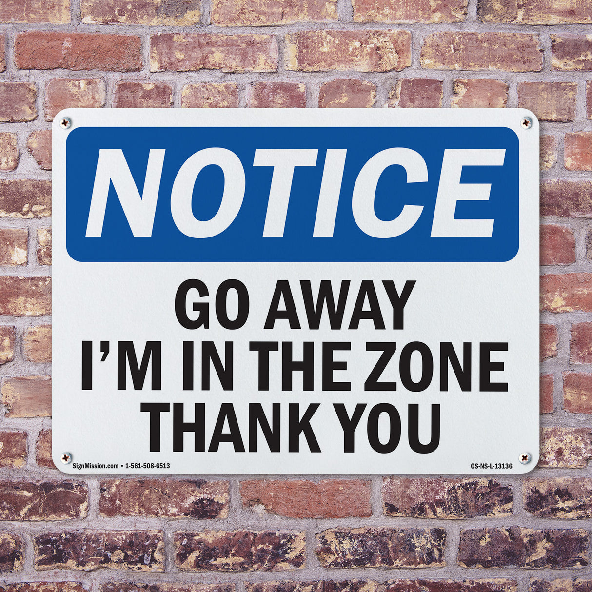 Go Away I'm In The Zone Thank You