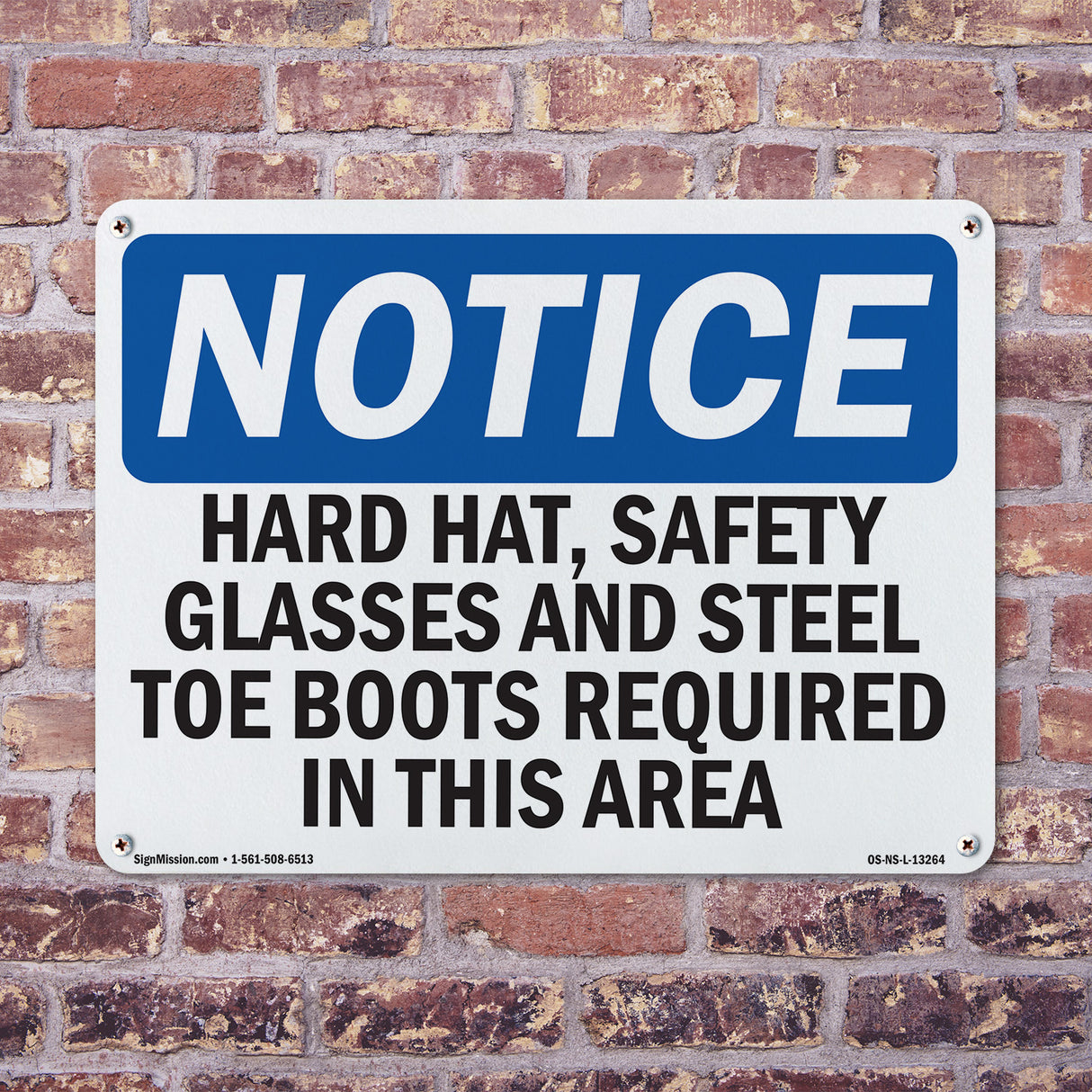 Hard Hat, Safety Glasses And Steel