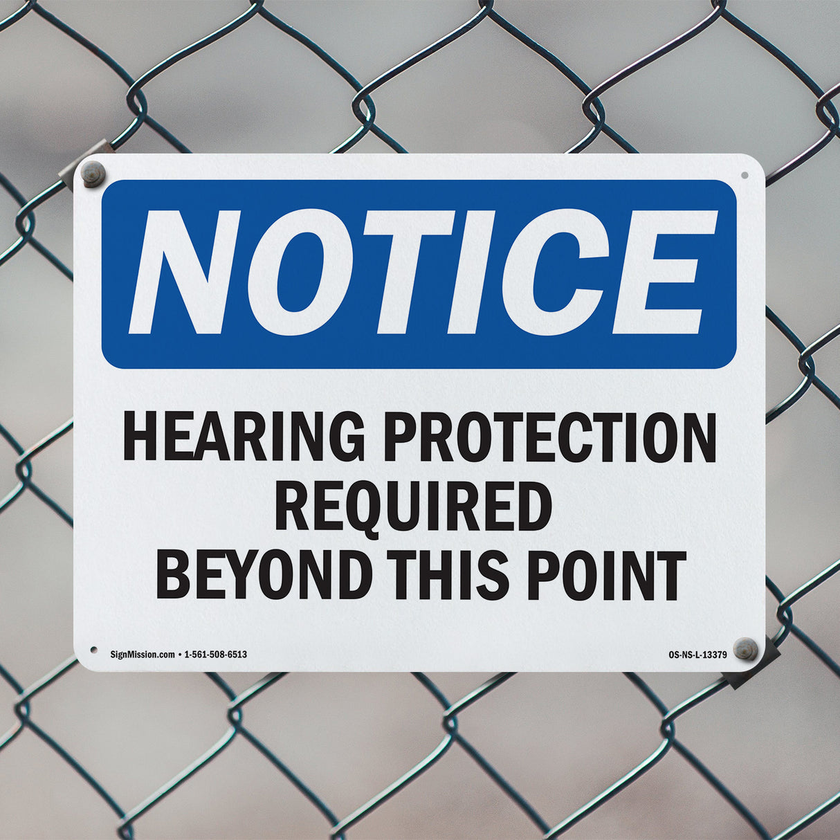 Hearing Protection Required Beyond