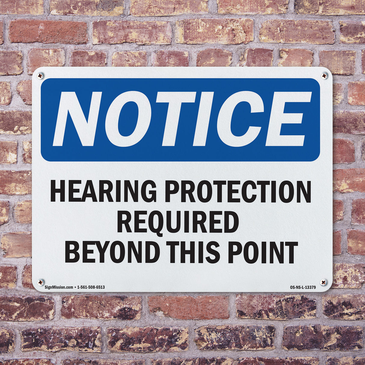 Hearing Protection Required Beyond