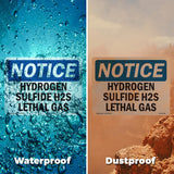 Hydrogen Sulfide H2S Lethal Gas
