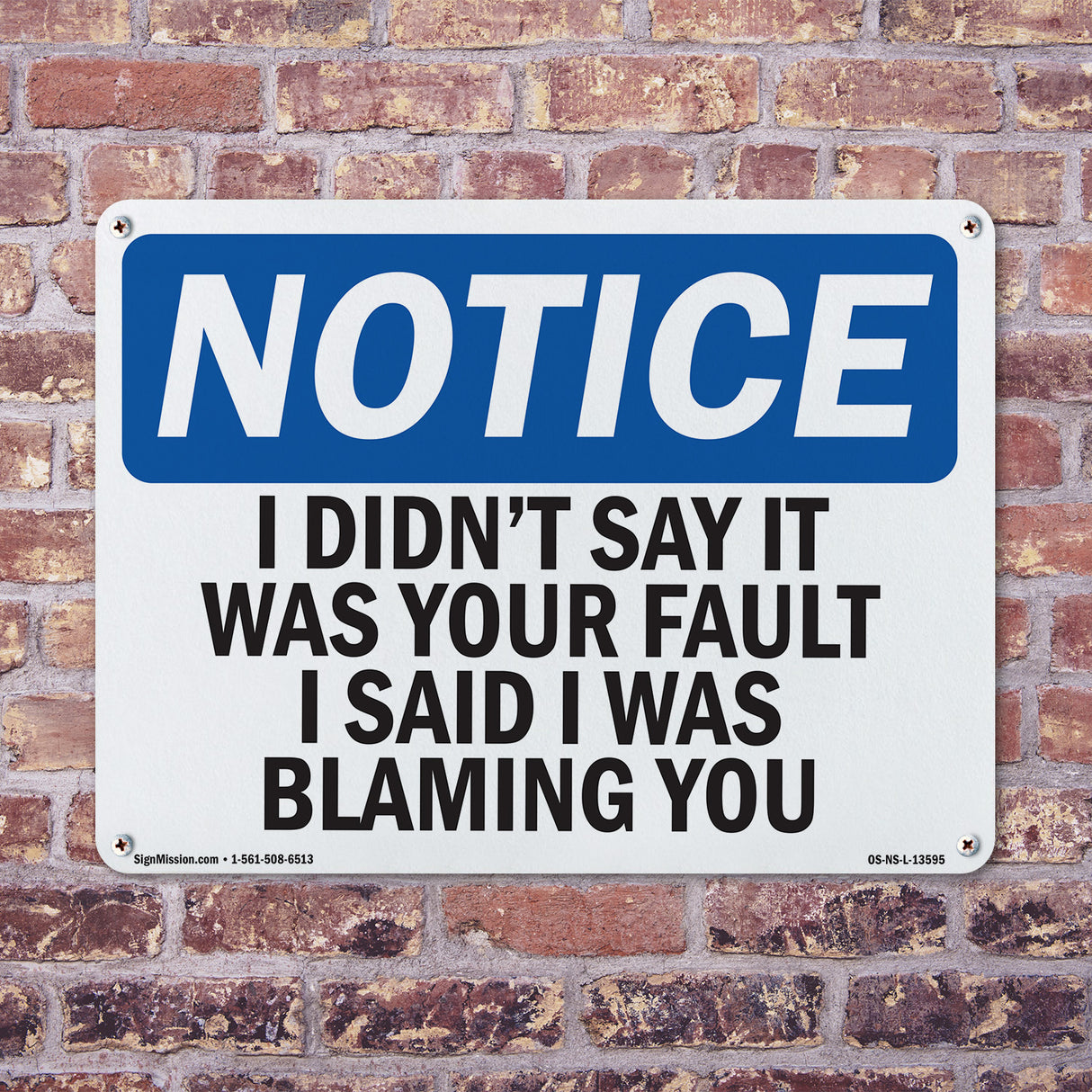 I Didn't Say It Was Your Fault I Said I