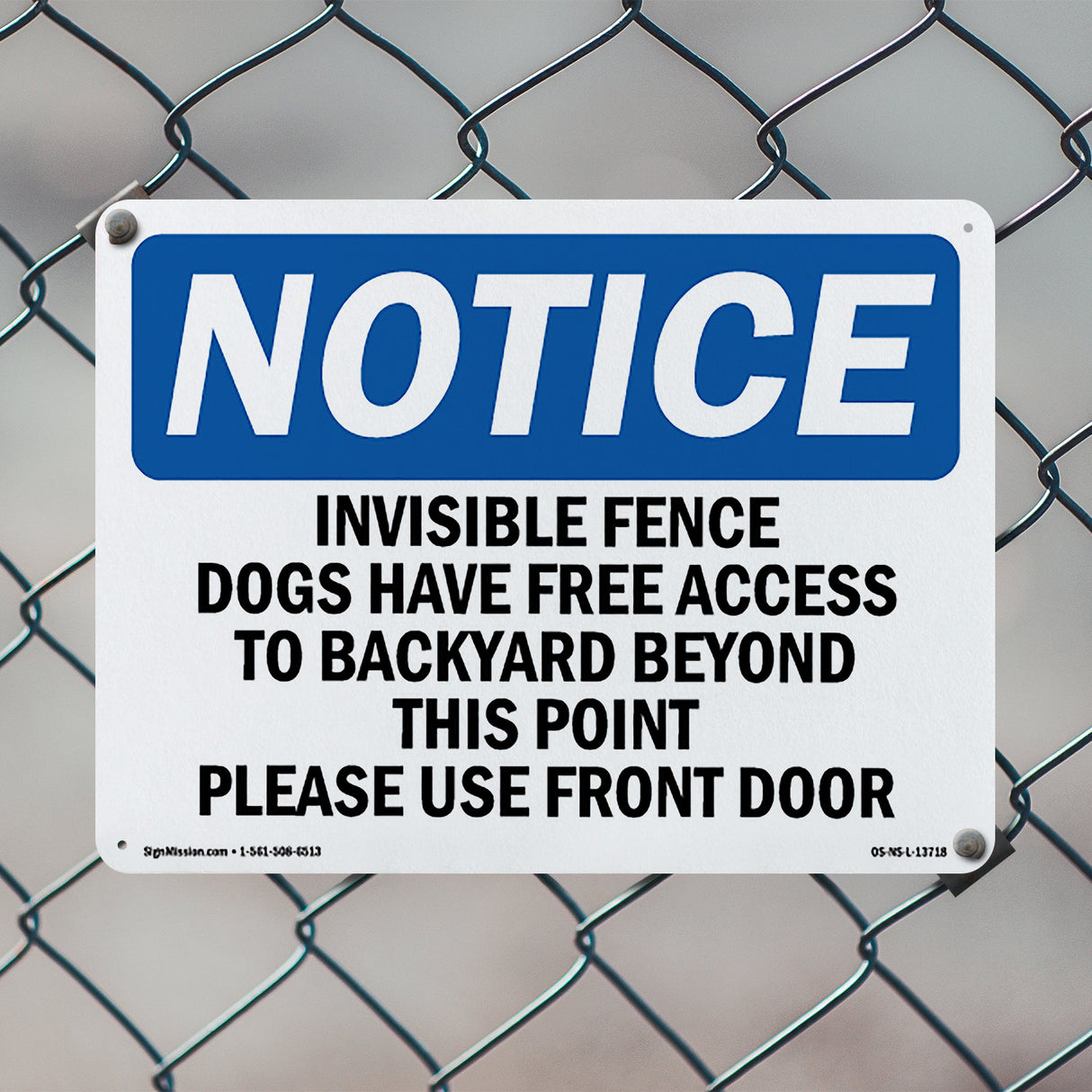 Invisible Fence Dogs Have Free Access To