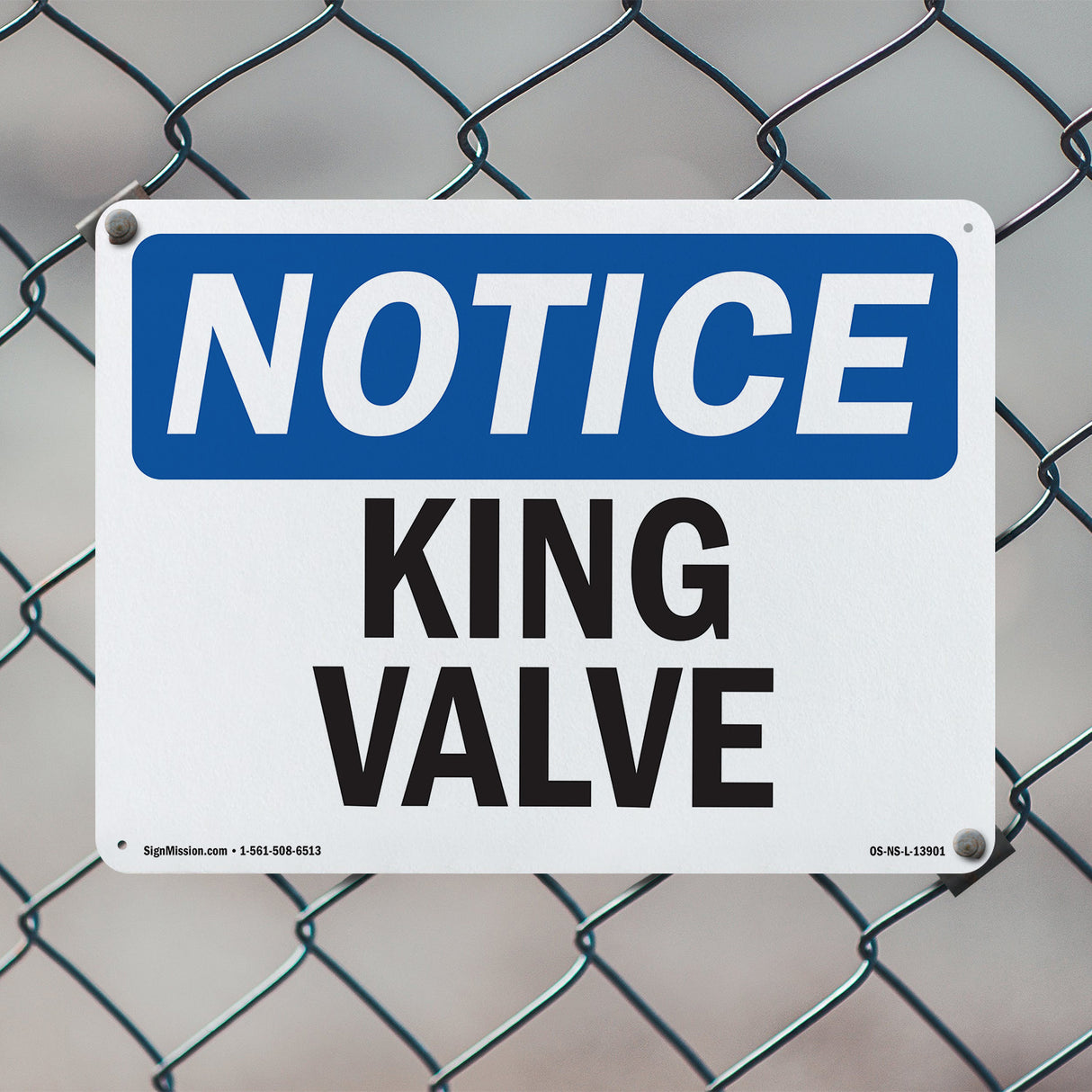 King Valve