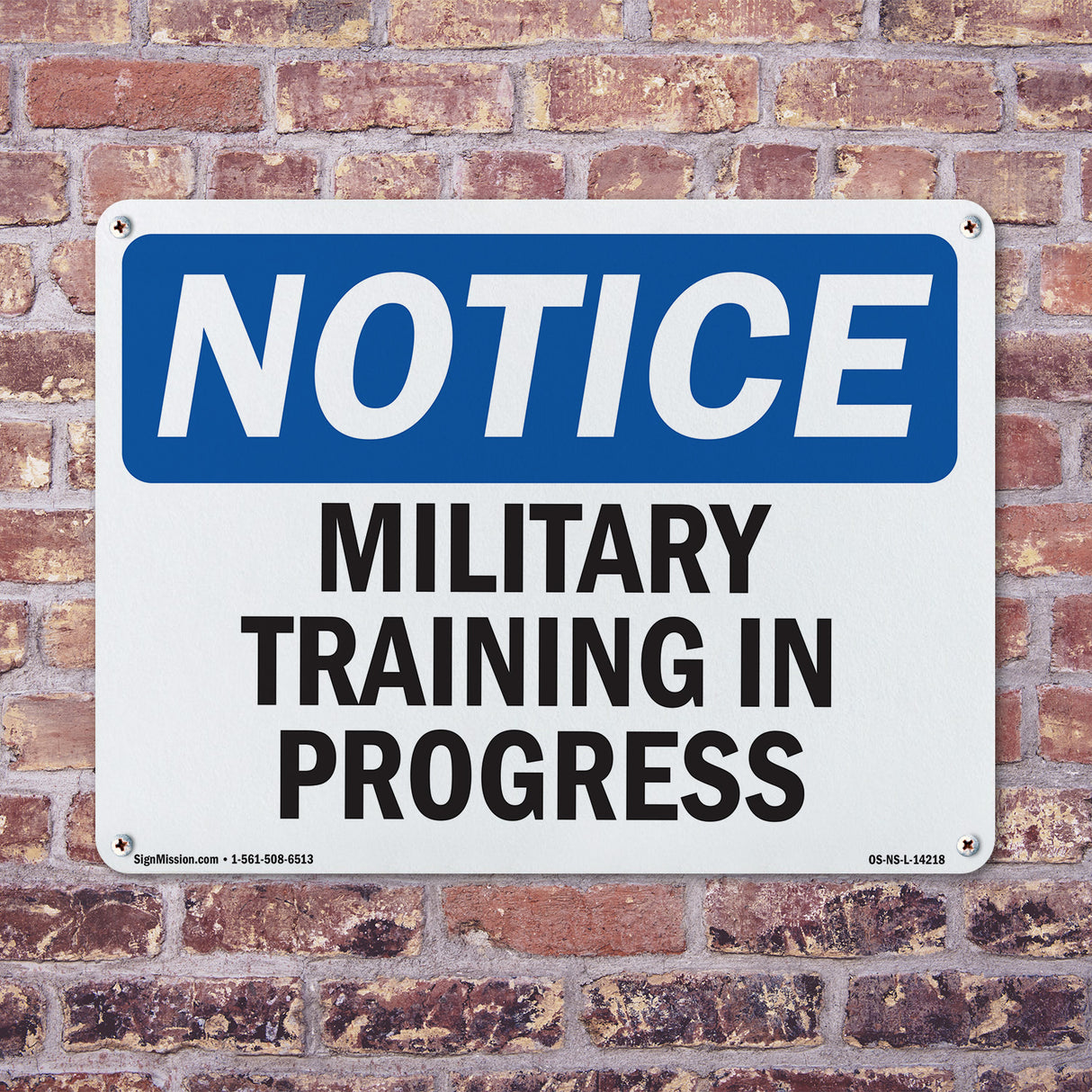 Military Training In Progress