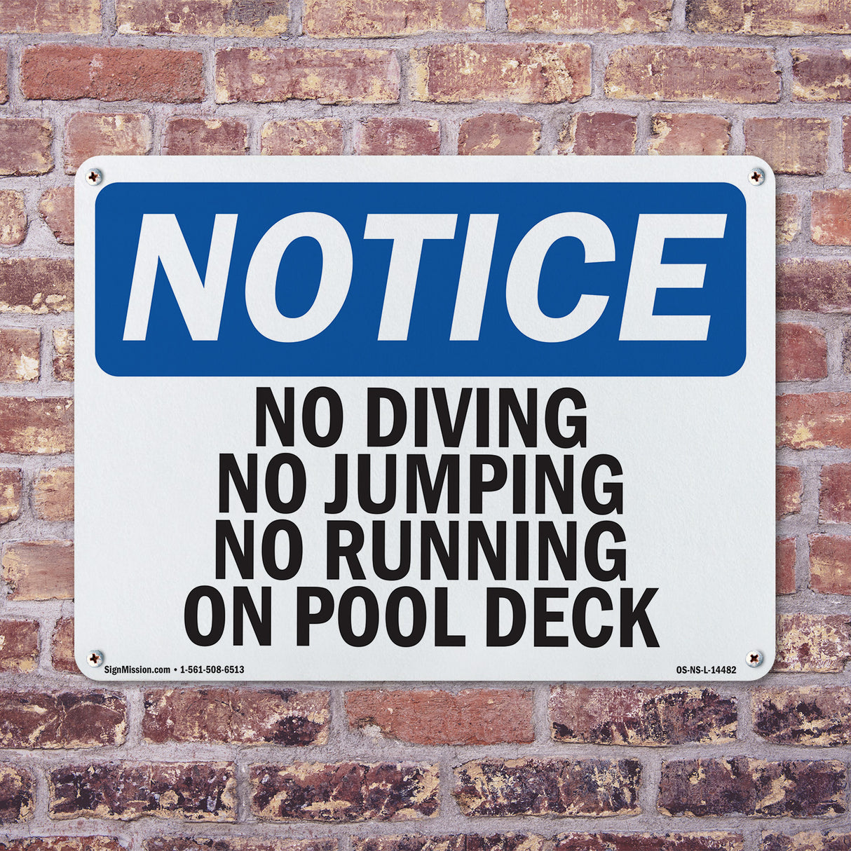 No Diving No Jumping No Running On Pool Deck