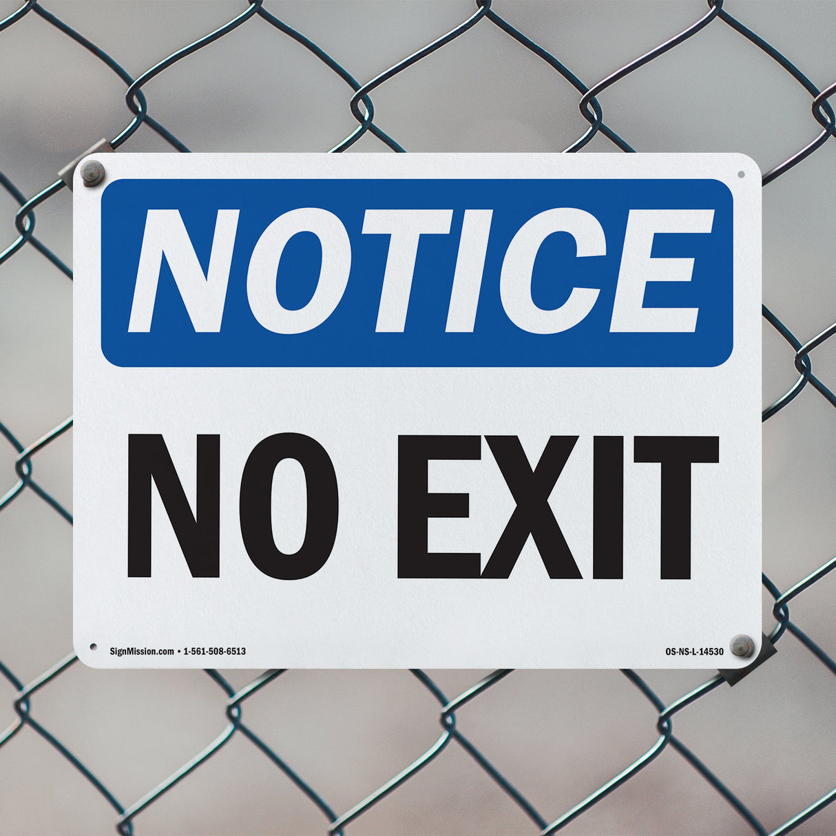 No Exit