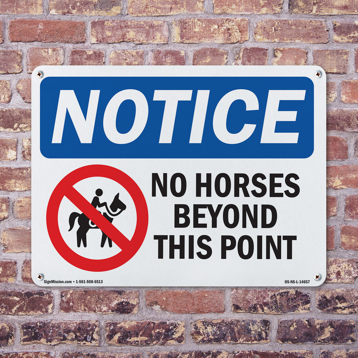 No Horses Beyond This Point