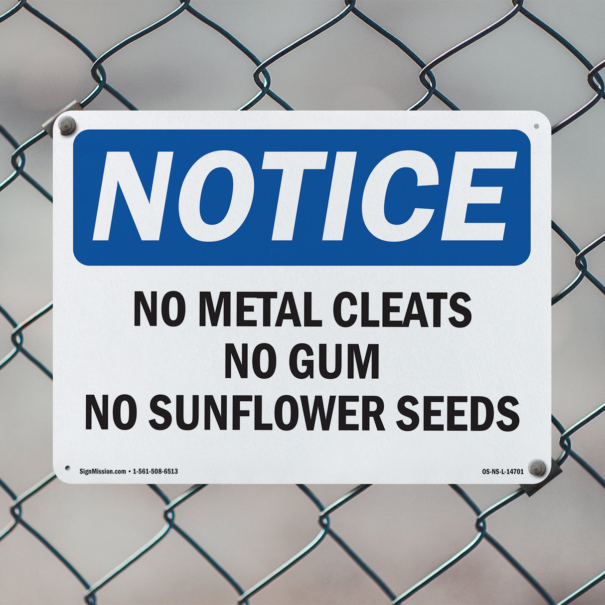 No Metal Cleats No Gum No Sunflower Seeds
