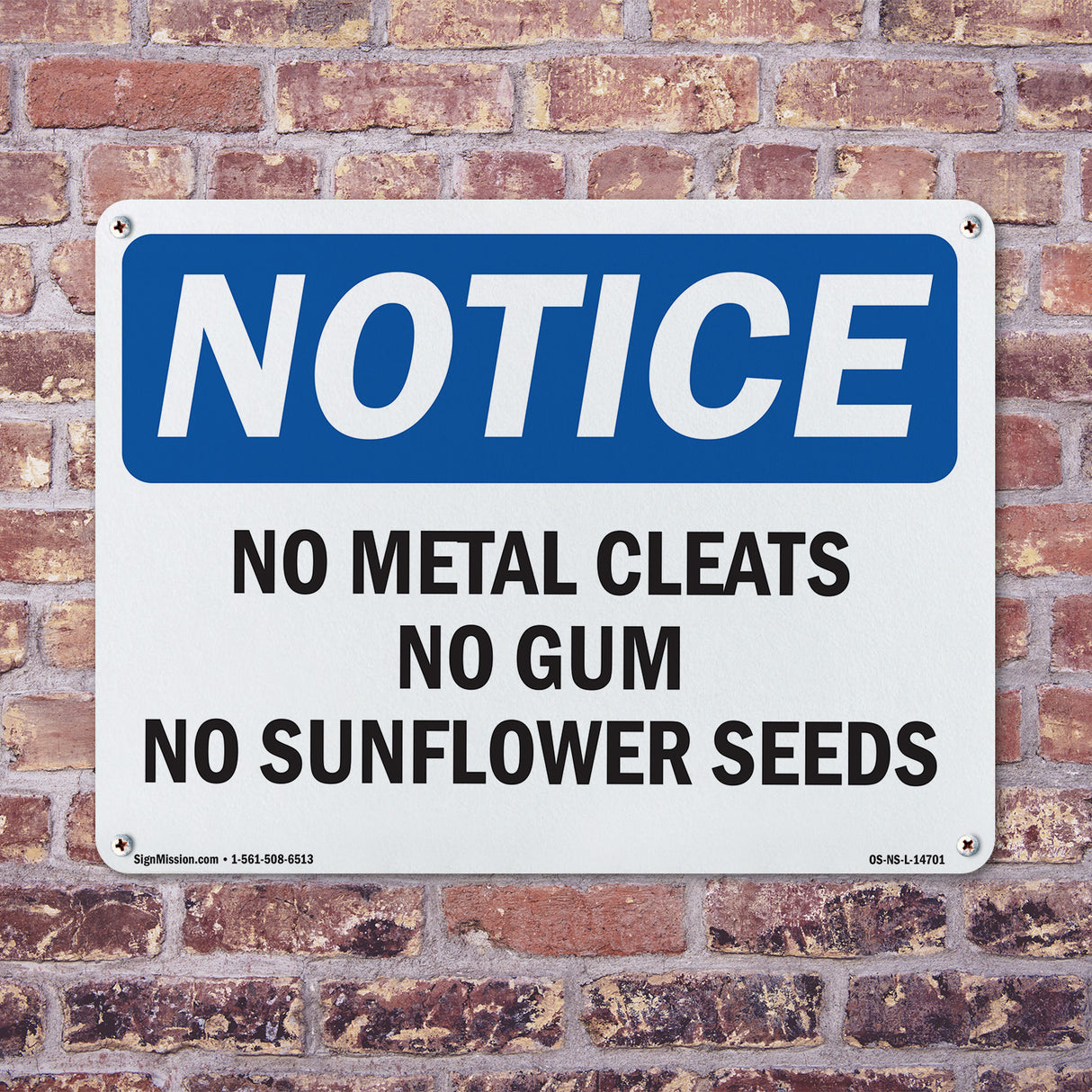 No Metal Cleats No Gum No Sunflower Seeds