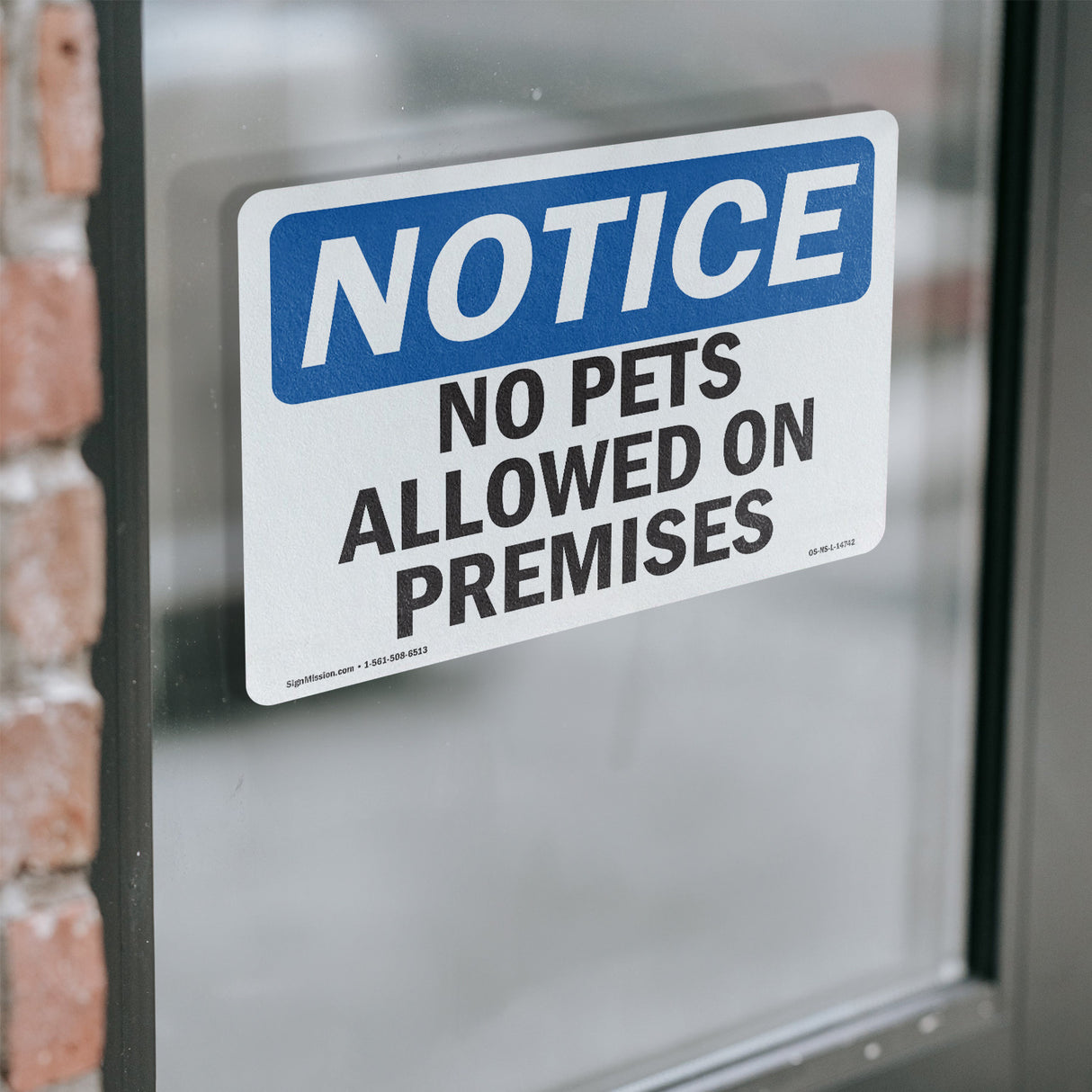 No Pets Allowed On Premises