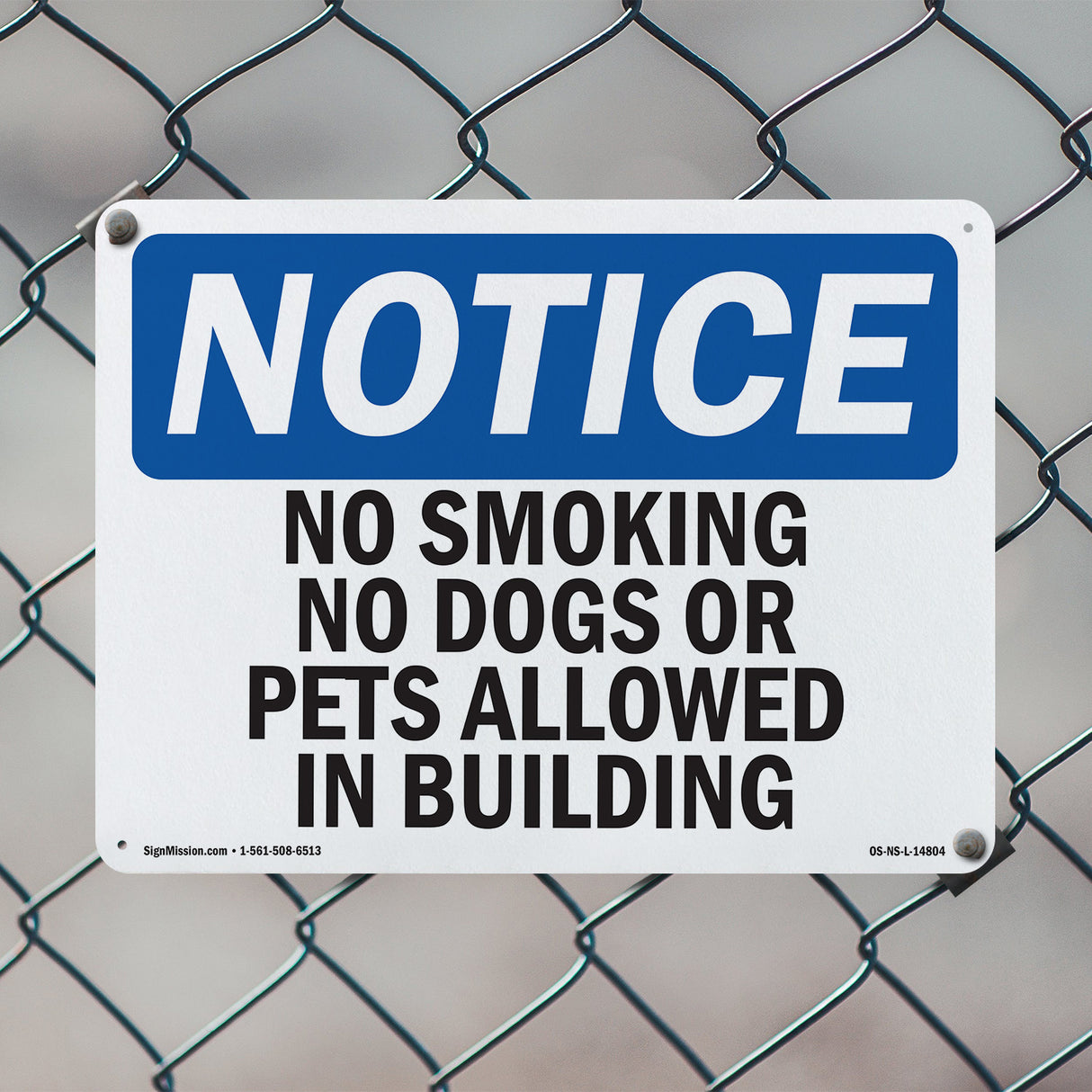 No Smoking No Dogs Or Pets Allowed In Buildings