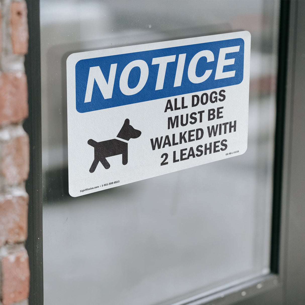 All Dogs Must Be Walked