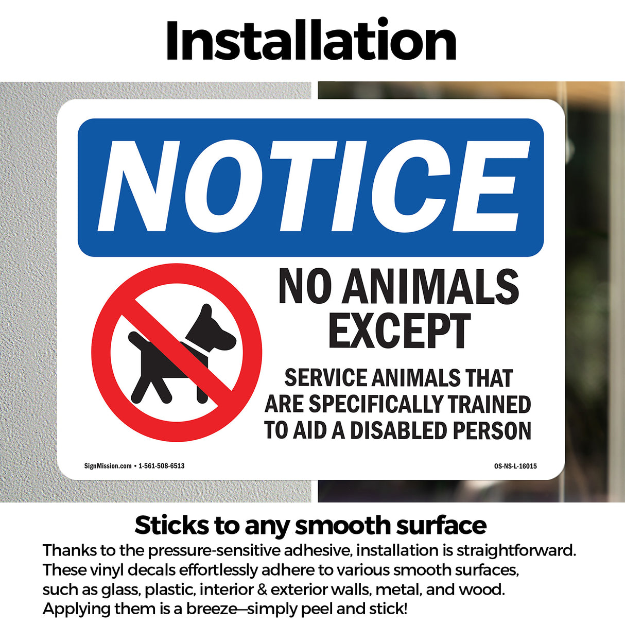 No Animals Except