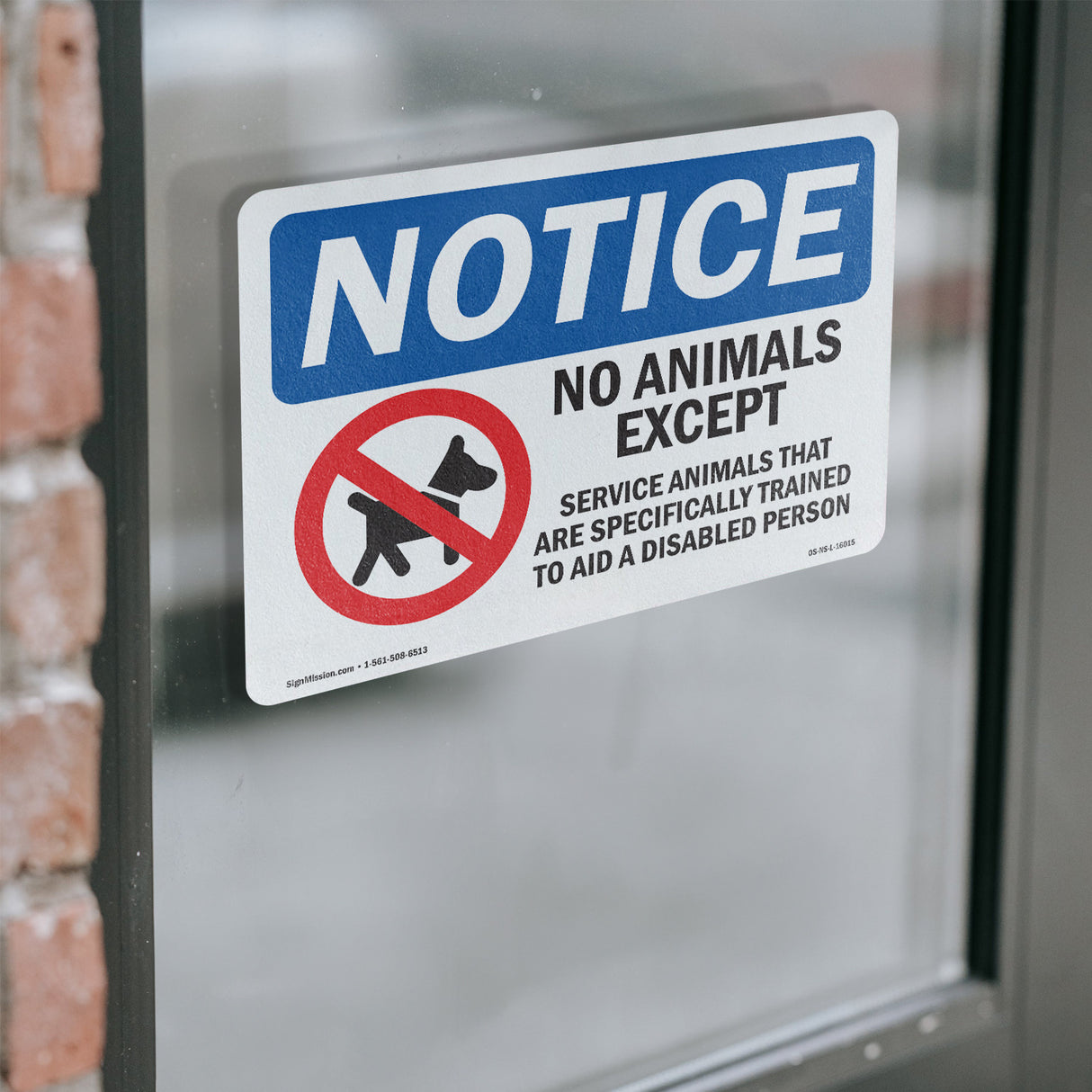 No Animals Except