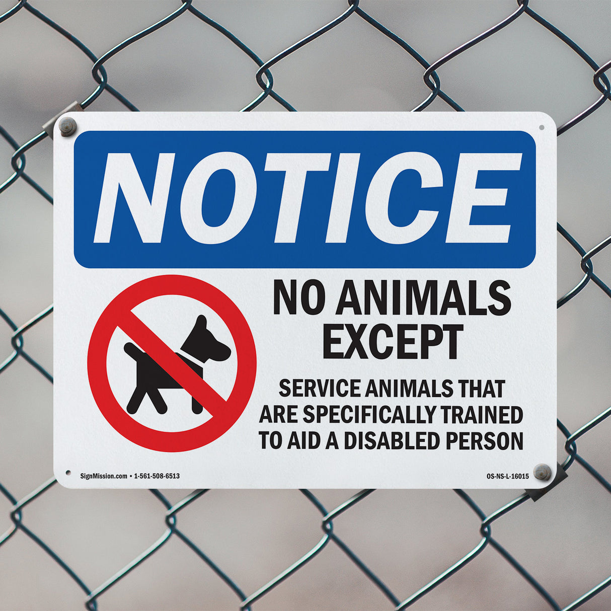 No Animals Except