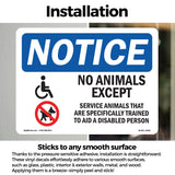 No Animals Except