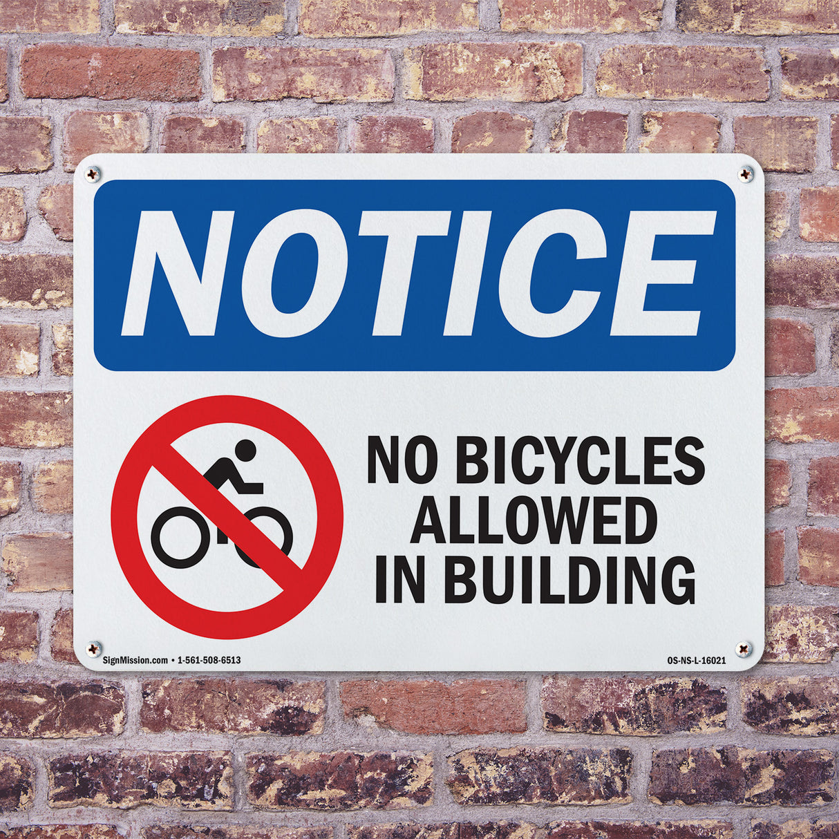 No Bicycles Allowed