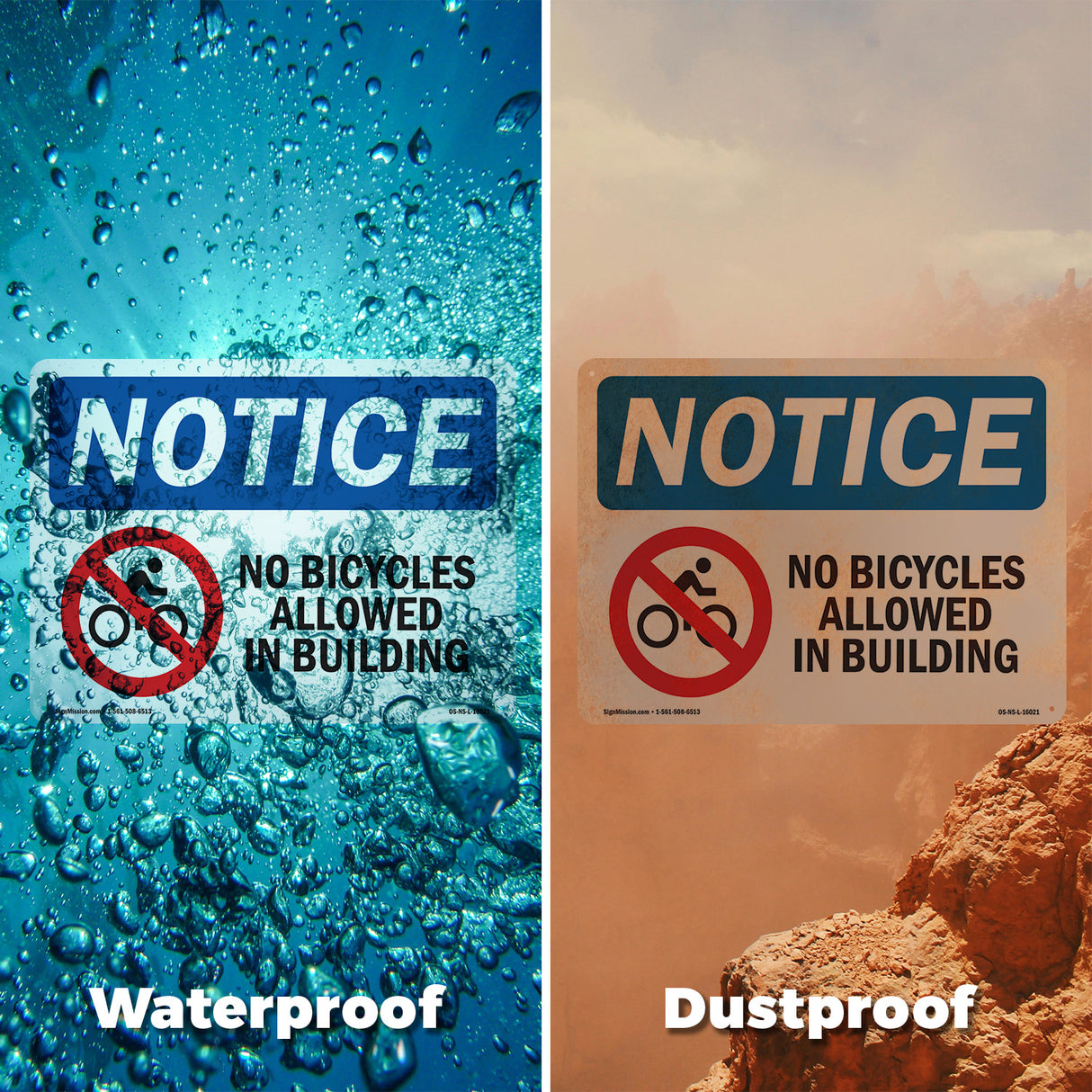 No Bicycles Allowed