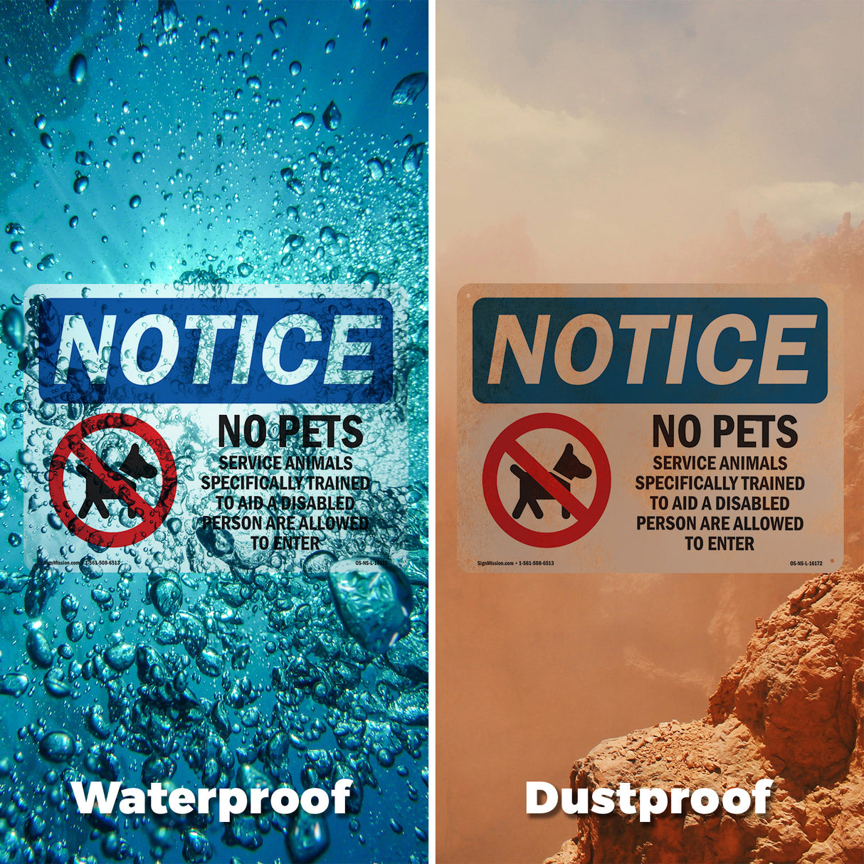 No Pets Service Animals