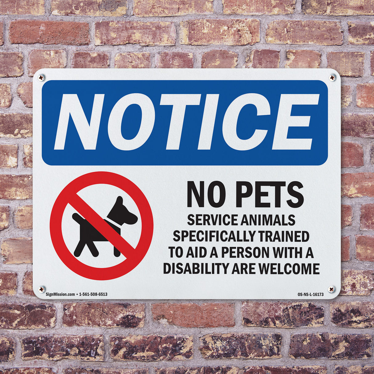No Pets Allowed Service