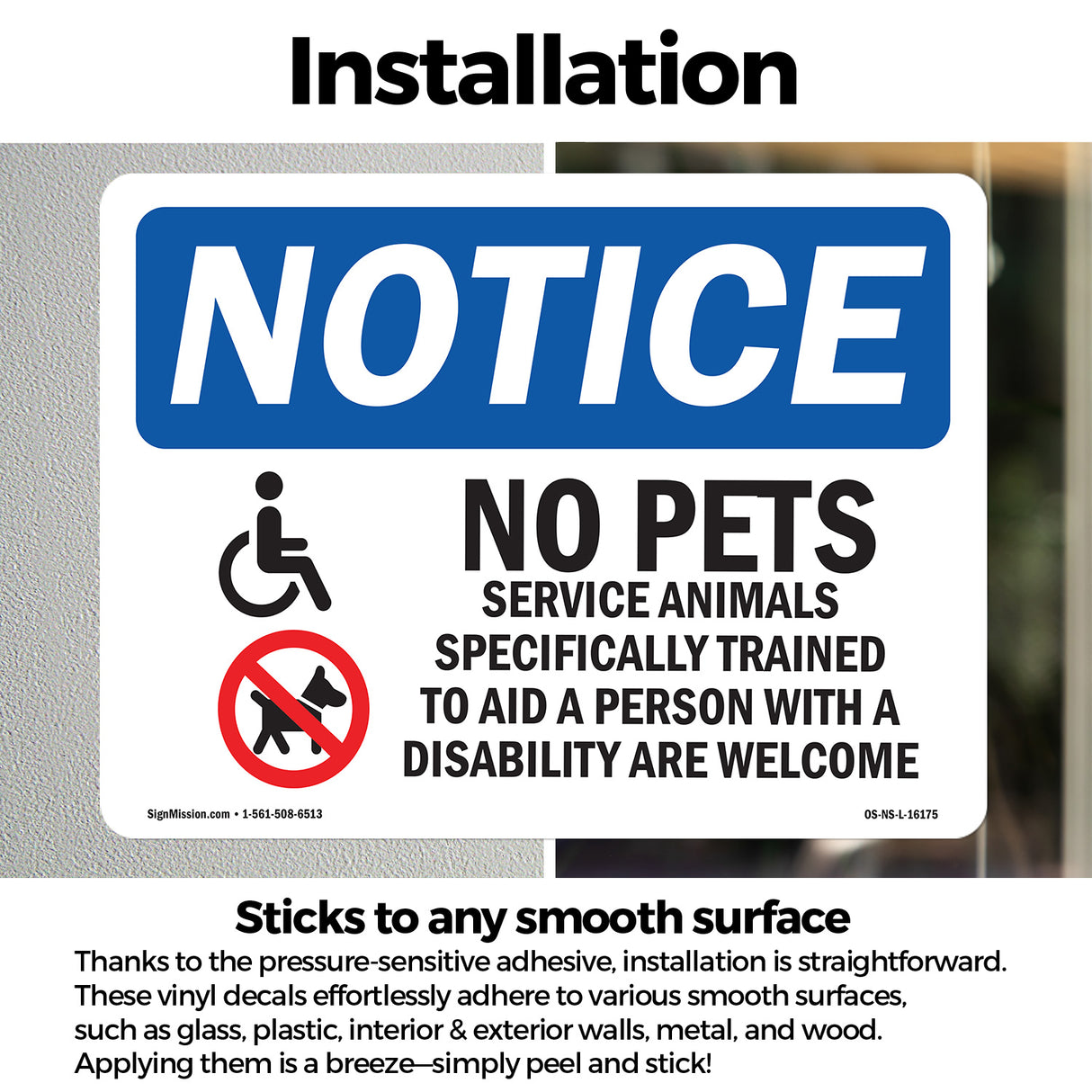 No Pets Allowed Service