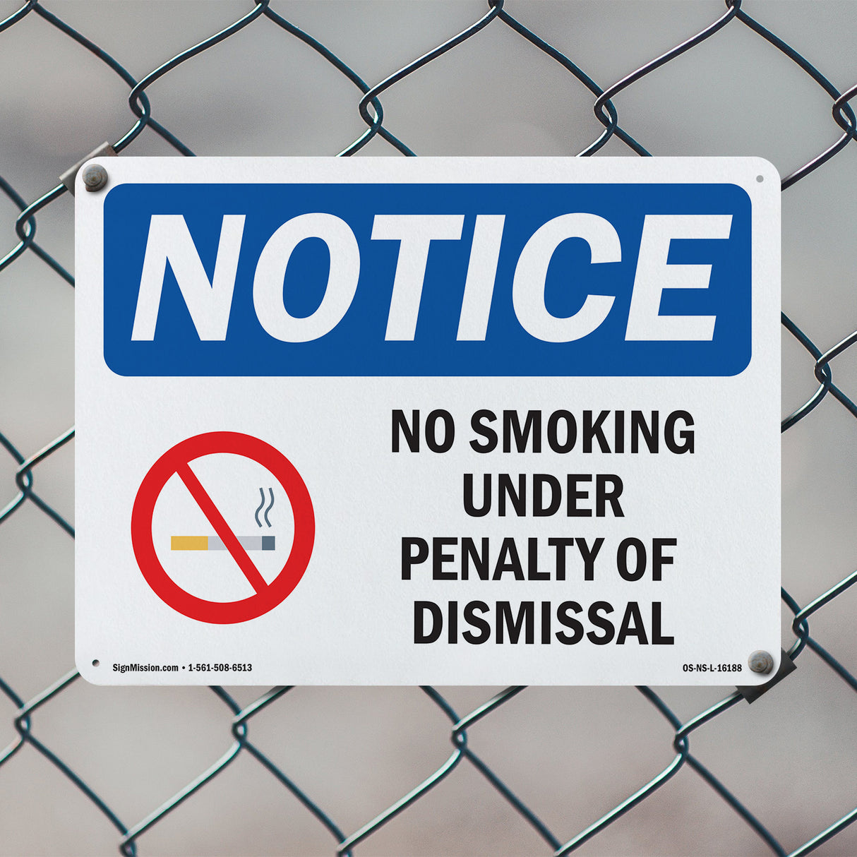 No Smoking Under Penalty