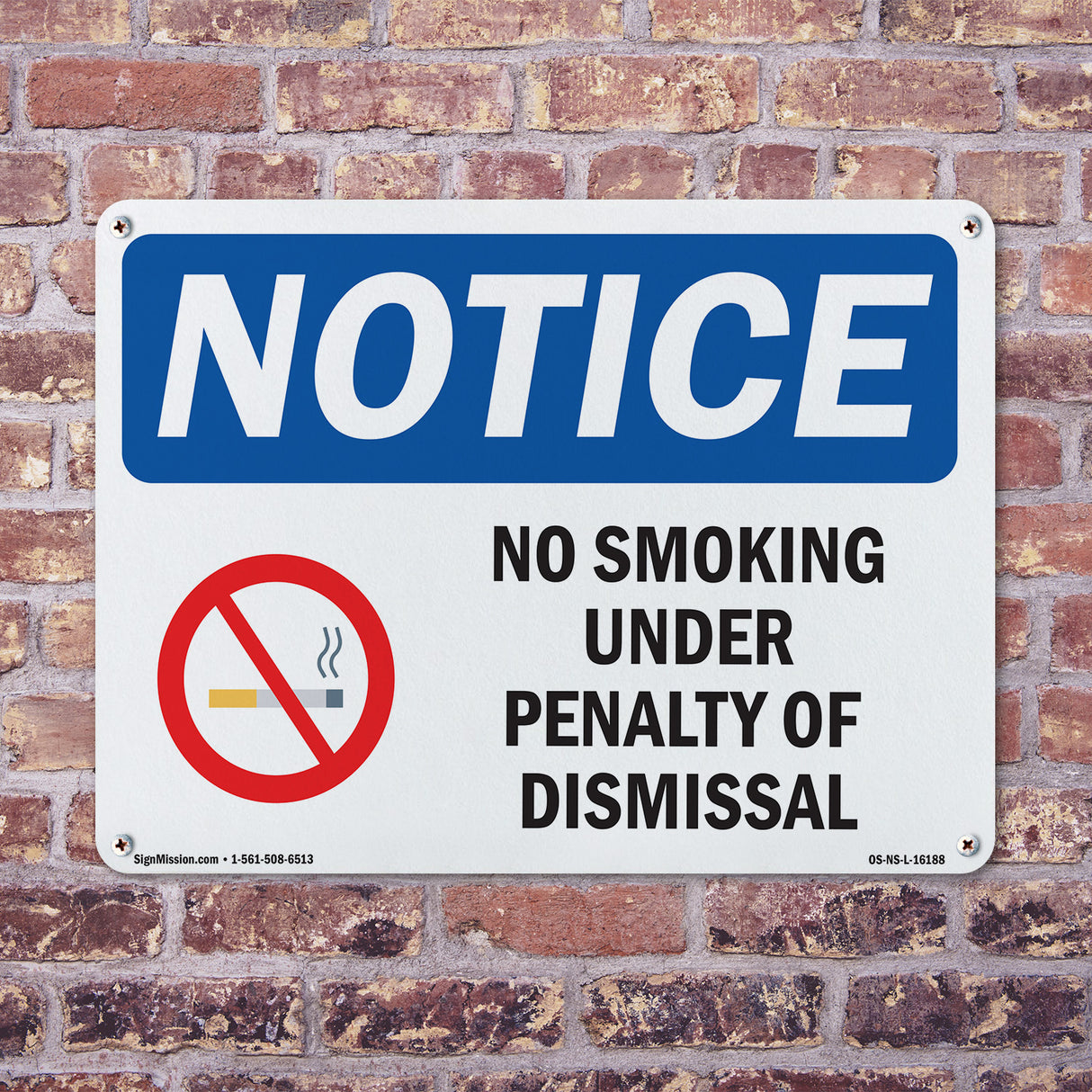 No Smoking Under Penalty