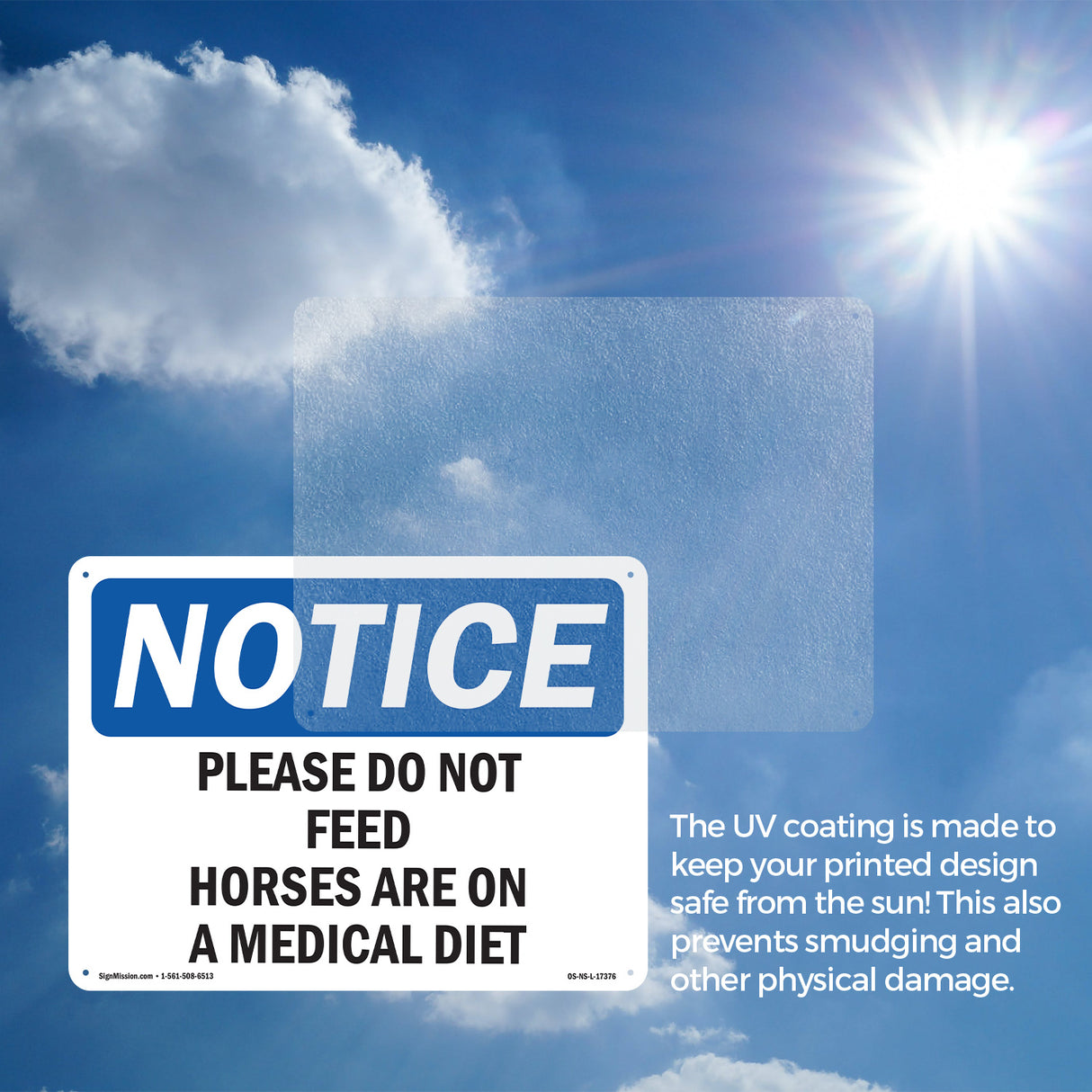 Please Do Not Feed Horses Are On A Medical Diet