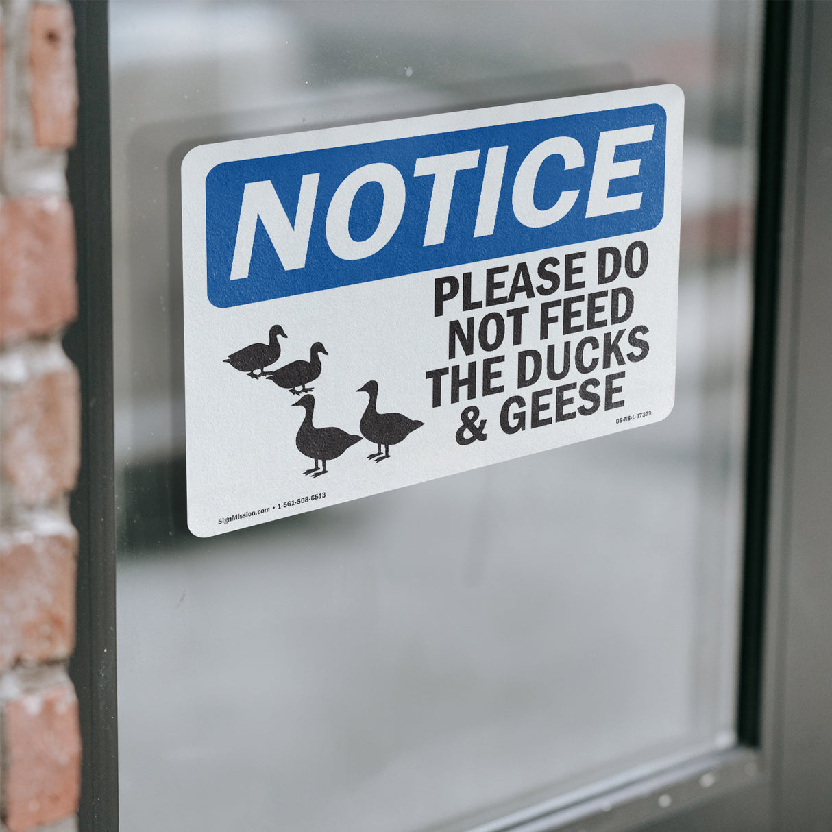 Please Do Not Feed