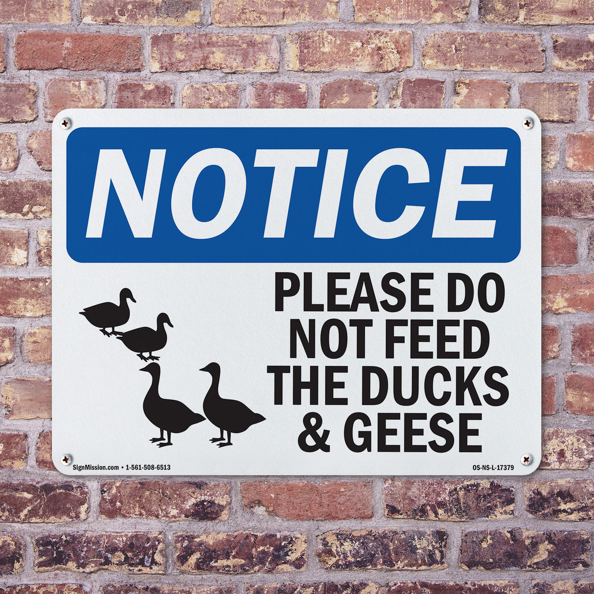 Please Do Not Feed