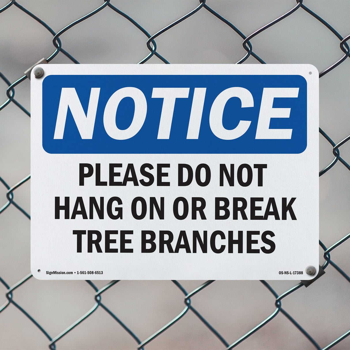 Please Do Not Hang On Or Break