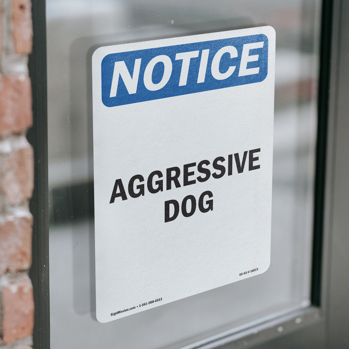 Aggressive Dog