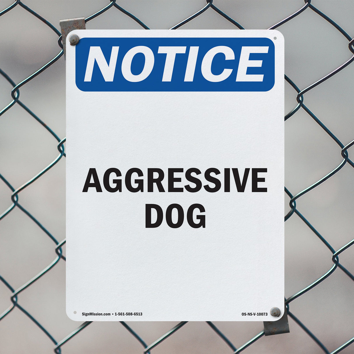 Aggressive Dog