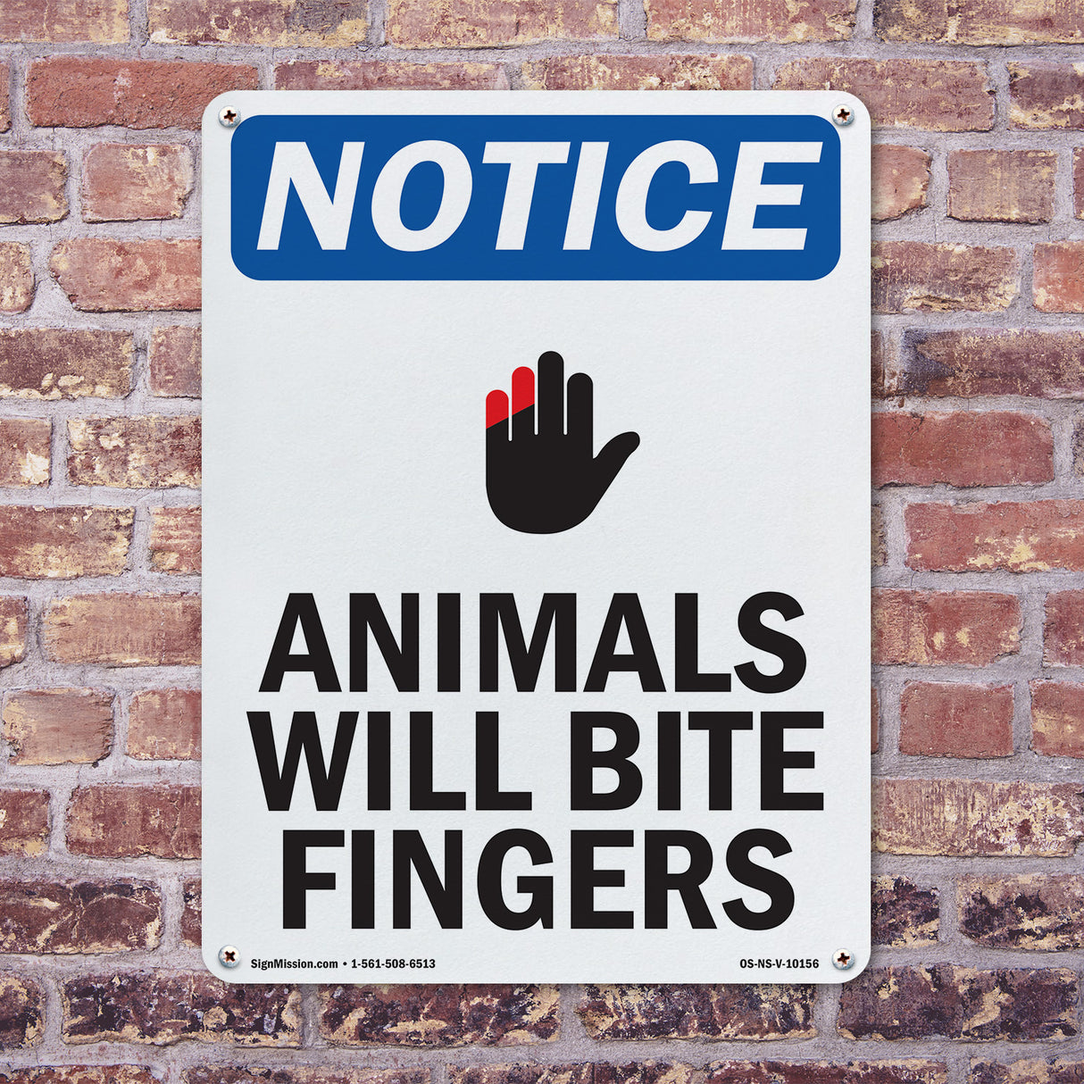 Animals Will Bite Fingers