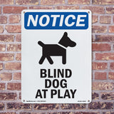 Blind Dog At Play