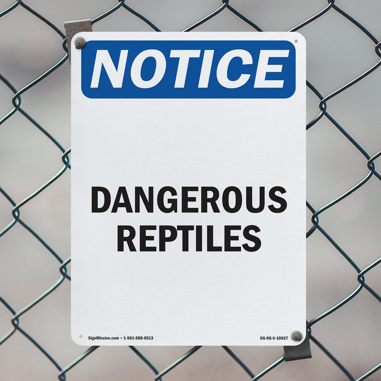 Dangerous Reptiles