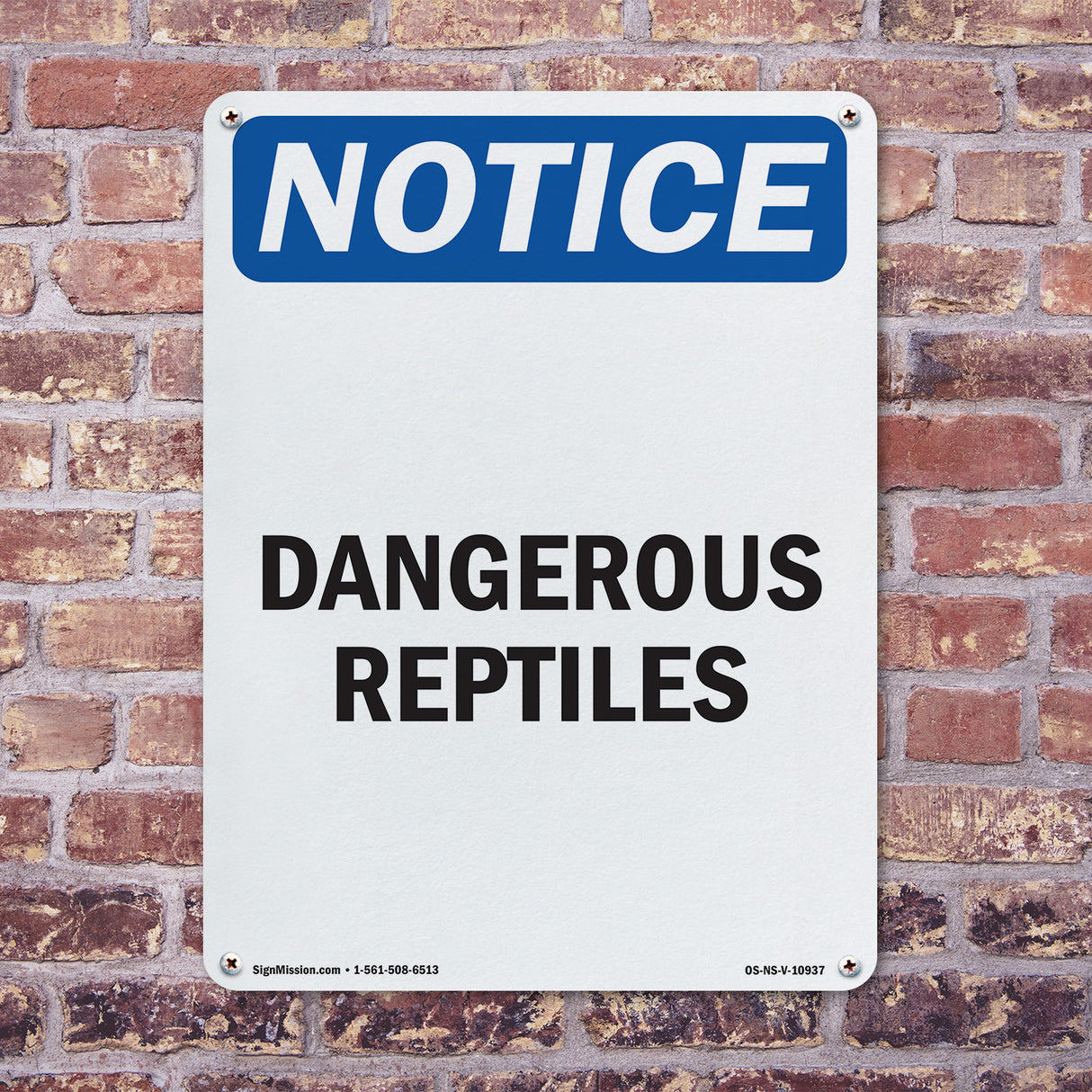 Dangerous Reptiles
