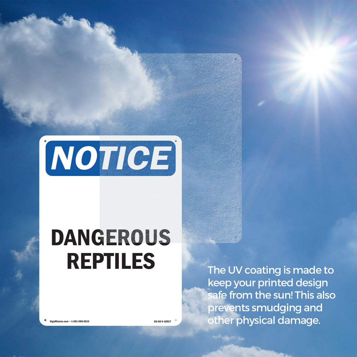 Dangerous Reptiles