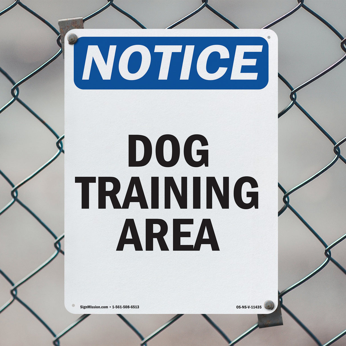 Dog Training Area