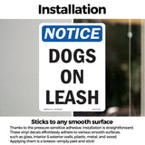 Dogs On Leash