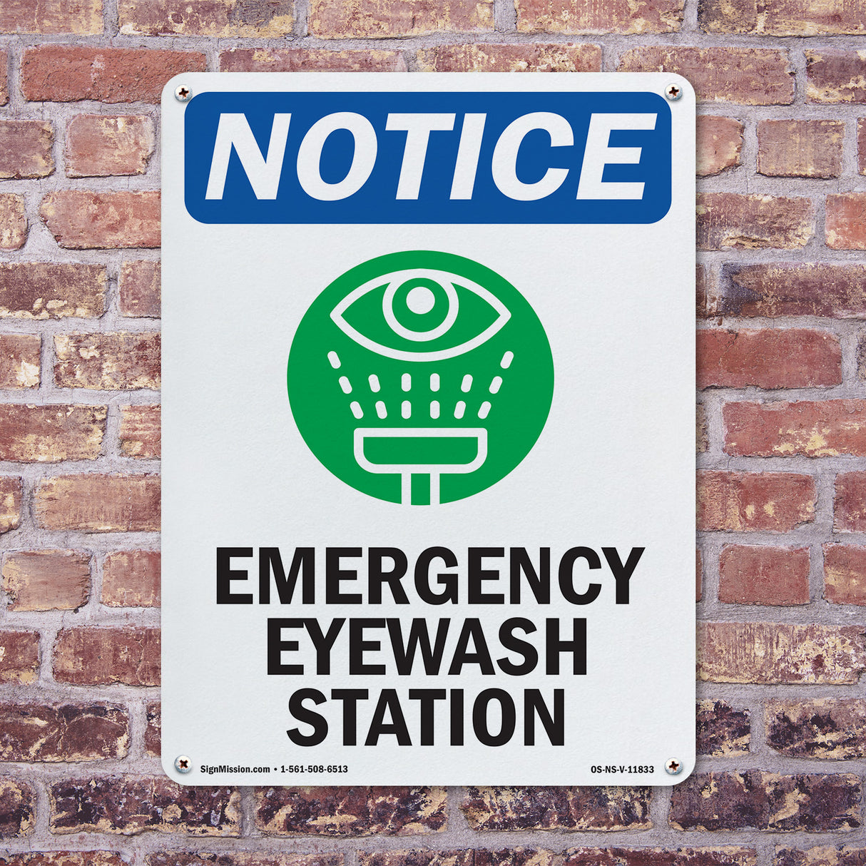 Emergency Eyewash Station